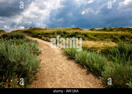 Wanderweg in Badlands mit dramatischer Himmel im Dinosaur provincial Park, Alberta, Kanada Stockfoto