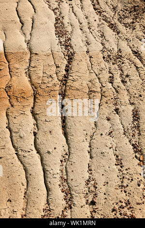 Nahaufnahme eines erodierten Boden Muster in Badlands in Alberta, Kanada Stockfoto