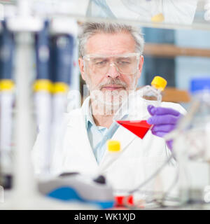 Lebens-Wissenschaftler forschen im Labor. Stockfoto