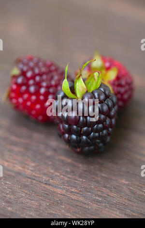 drei saftige Brombeeren auf eine Holzoberfläche Stockfoto