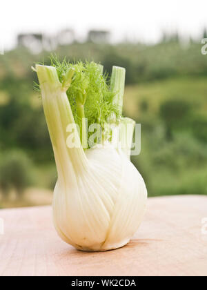 Fenchel auf eine Tabelle mit selektiven Fokus Stockfoto