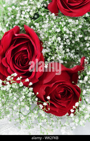 Rote Rosen und Babys Atem. Geringe Tiefenschärfe. Stockfoto