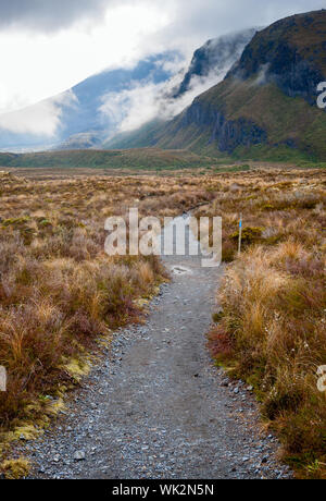 Öffentliche Tritte Spur im Tongariro Nationalpark in Neuseeland Stockfoto