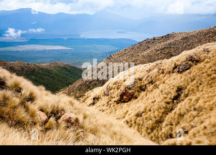 Blick vom öffentlichen Track im Tongariro Nationalpark in Neuseeland Stockfoto