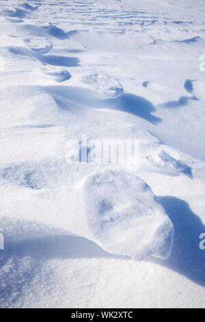 Polar Bear Foot Prints im Schnee - Svalbard, Norwegen Stockfoto