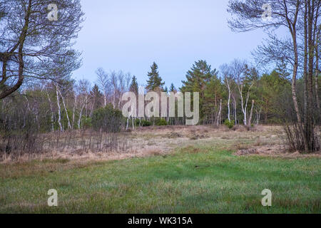 Wandern im Wenger Moor am Wallersee, Salzburg Stockfoto