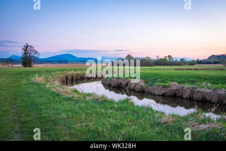 Wandern im Wenger Moor am Wallersee, Salzburg Stockfoto