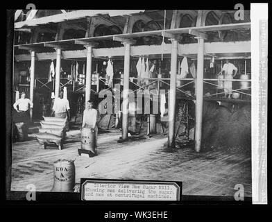 Blick auf den Innenbereich Raw Sugar Mill, Männer, die Zucker, und Männer an Zentrifugen. Stockfoto