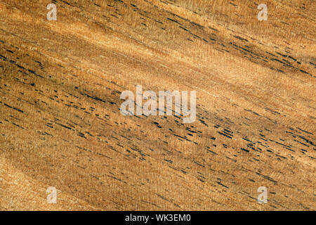 Holz Serie 2 Stockfoto