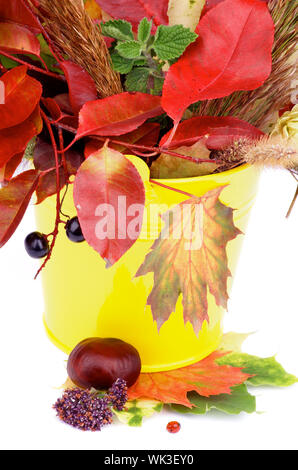 Anordnung der Herbst treibt, trockenes Gras, grüne Hopfenzapfen und Beeren in gelben Eimer mit Marienkäfer auf weißem Hintergrund Stockfoto