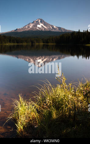 Am späten Nachmittag Sonne wärmt Mount Hood über Trillium Lake Stockfoto