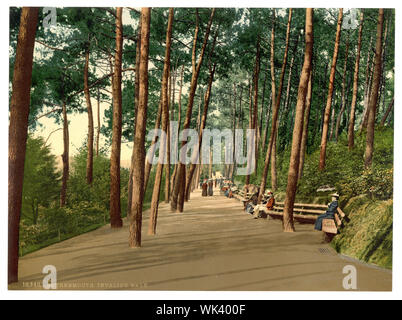 Invaliden zu Fuß, Bournemouth, England; Teil: Blick auf den Britischen Inseln, in der Photochrom print Collection.; Stockfoto