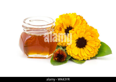 Honig und Ringelblume Blumen auf weißem Hintergrund Stockfoto