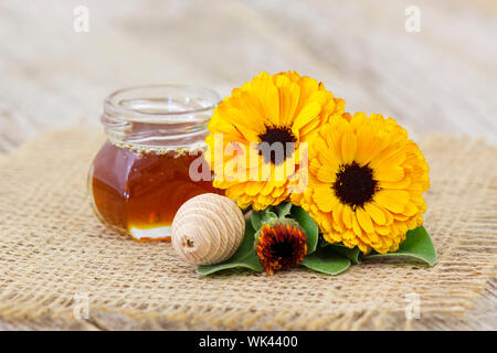Honig und Calendula Blumen Stockfoto