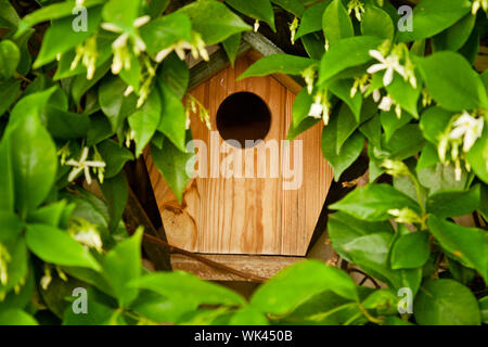 Nahaufnahme von einem Vogelhaus, versteckt in den Blättern Stockfoto