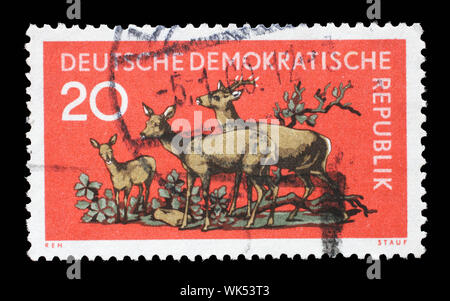 Stempel ausgestellt in Deutschland - Demokratische Republik (DDR) zeigt Reh (Capreolus capreolus), Forrest Tiere Serie, ca. 1959. Stockfoto