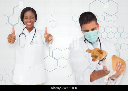 Das zusammengesetzte Bild der Berufsbildung holding Chihuahua und Krankenschwester mit Daumen hoch gegen chemische Struktur in Grau und Weiß Stockfoto