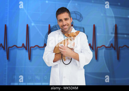 Vet holding Chihuahua gegen den blauen medizinischen Hintergrund mit Herzen Diagramm und EKG Stockfoto
