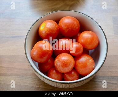 Schüssel mit verschiedenen Tomaten Typen Rot Gelb Lila russischen tigerella und golden Stockfoto