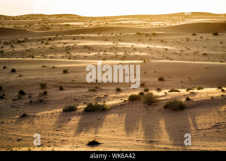 Abend Stimmung in Wüste Wahiba im Oman Stockfoto