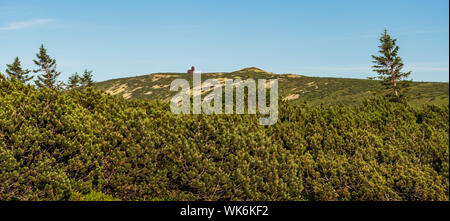 Labsky Szczyt und Sniezne Kotly Hügel im Riesengebirge auf polnisch-tschechischen Grenze vom Wanderweg unterhalb Szrenica Hill bei schönem Sommerabend Stockfoto