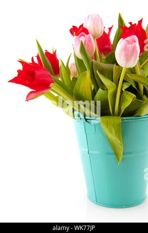 Blauen Eimer mit bunten Tulpen in rosa und rot Stockfoto