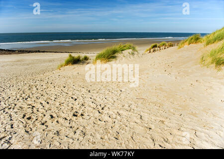 Leeren Strand auf der Insel Ameland in den Niederlanden Stockfoto