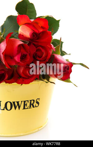 Strauß roter Rosen in gelber Vase isoliert auf weiß Stockfoto