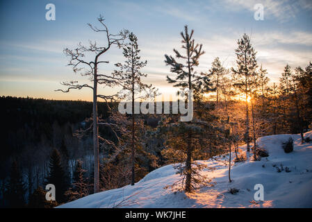 Malerischer Blick auf Bäume wachsen auf schneebedeckten Feld bei Sonnenuntergang