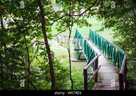 Blick auf scenics Brücke über den kleinen Bach im Wald Stockfoto