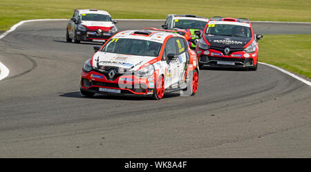 Renault Clio Cup Praxis in Oulton Park, Auto 71, Max Coates, Team hart Stockfoto