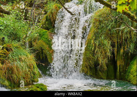 Ein kleiner Wasserfall nach unten fließt aus dem Felsen bedeckt mit Moos Stockfoto