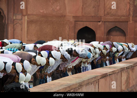 Große Gruppe von Menschen, die beten Namaz in Masjid, Jama Masjid, Alt-Delhi, Indien Stockfoto