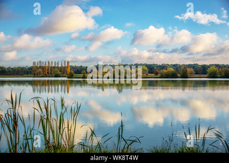 Bäume und Wolken Reflexionen auf einem Teich im Herbst, Burgund, Frankreich Stockfoto