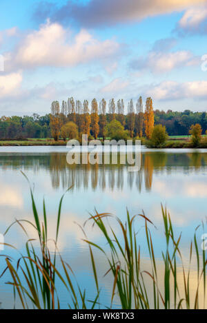 Bäume und Wolken Reflexionen auf einem Teich im Herbst, Burgund, Frankreich Stockfoto