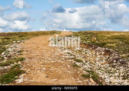 Der Weg auf den Gipfel des Pendle Hill oben Clitheroe im Ribble Valley, Lancashire, UK. Stockfoto