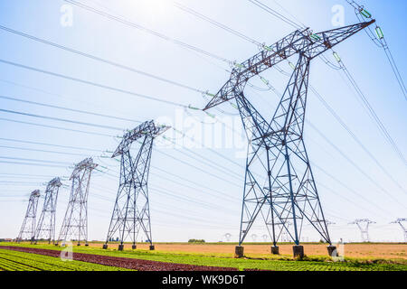 Dutzende von Sendemasten in der französischen Landschaft unter einem klaren blauen Himmel. Stockfoto