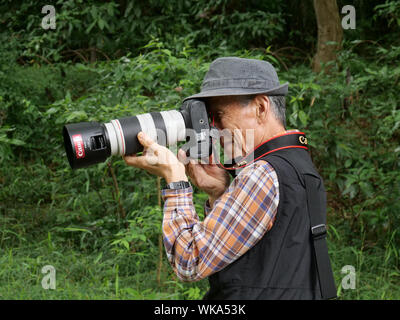 JAPAN - Foto von Sean Sprague Meiji Jingu Shinto Schrein und Gärten, Harajuku, Tokio. Die Iris Garten. Japanische Fotograf. Stockfoto