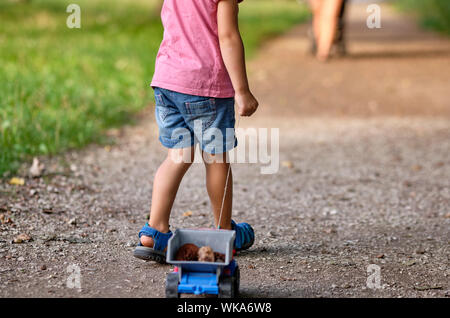 Rückansicht des unteren Abschnitt von einem 3-4 jährigen Kind im Sommer closthing Ziehen einer Spielzeug-LKW mit Kegel in Es Stockfoto