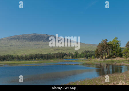 Loch Tulla Inveroran und Pinien nr Brücke von orchy Argyll & Bute Schottland Stockfoto