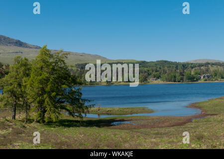 Loch Tulla Inveroran und Pinien nr Brücke von orchy Argyll & Bute Schottland Stockfoto