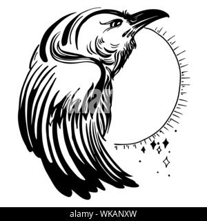 Raven skull Umrisse, in Tinte von Hand gezeichnet, Objekte mit kein Hintergrund logo, tattoo Stock Vektor