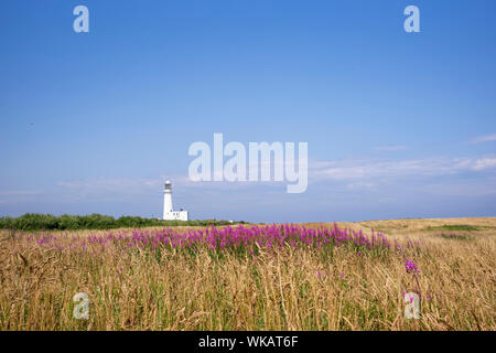 Samuel Wyatts Leuchtturm aus dem 19. Jahrhundert von der Küste weg bei Flamborough, Yorkshire, UK gesehen Stockfoto