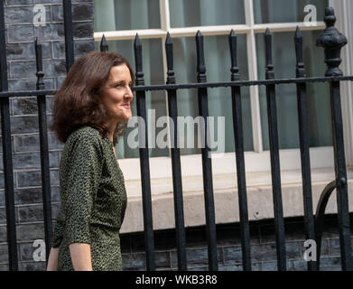 London, 4. September 2019, Theresa Villiers MP PC Environment Secrtry verlässt ein Kabinettstreffen in der 10 Downing Street, London Credit Ian Davidson/Alamy Live News Stockfoto