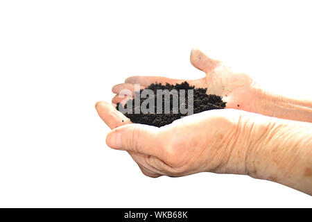 Schwarz in der hand des Bodens Stockfoto