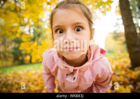 Süße kleine Mädchen mit fehlenden Zähne spielen mit gelbem Laub im Herbst Wald, trowing in die Luft. Glückliches Kind lachen und lächeln. Sonnig Stockfoto