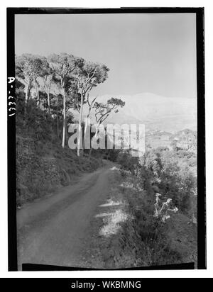 Jebel Sunnin & Beskinta Dorf. Die Straße am Eingang der Beskinta Stockfoto