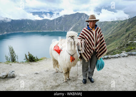 Ein Mann mit seinem Alpaka steht neben dem Quilatoa See in Pujil' Kanton, der Provinz Cotopaxi, Ecuador. Quilatoa ist eine mit Wasser gefüllte Caldera und die meisten, die wir Stockfoto