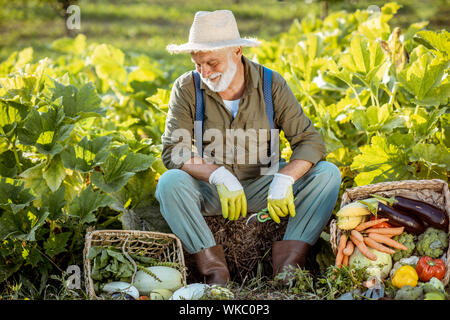 Portrait eines älteren gut gekleideten Agronom mit frisch abgeholt Gemüse auf den Garten im Freien. Konzept der Anbau von ökologischen Produkten und aktiven Ruhestand Stockfoto