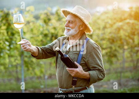 Portrait eines älteren gut gekleideten Winzer Kontrolle der Wein Qualität im Weinberg bei einem Sonnenuntergang. Konzept der Weinbereitung im Alter Stockfoto